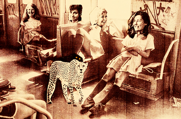 The Lookout Honeys - Lluvia